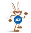 ADT Security Services Image